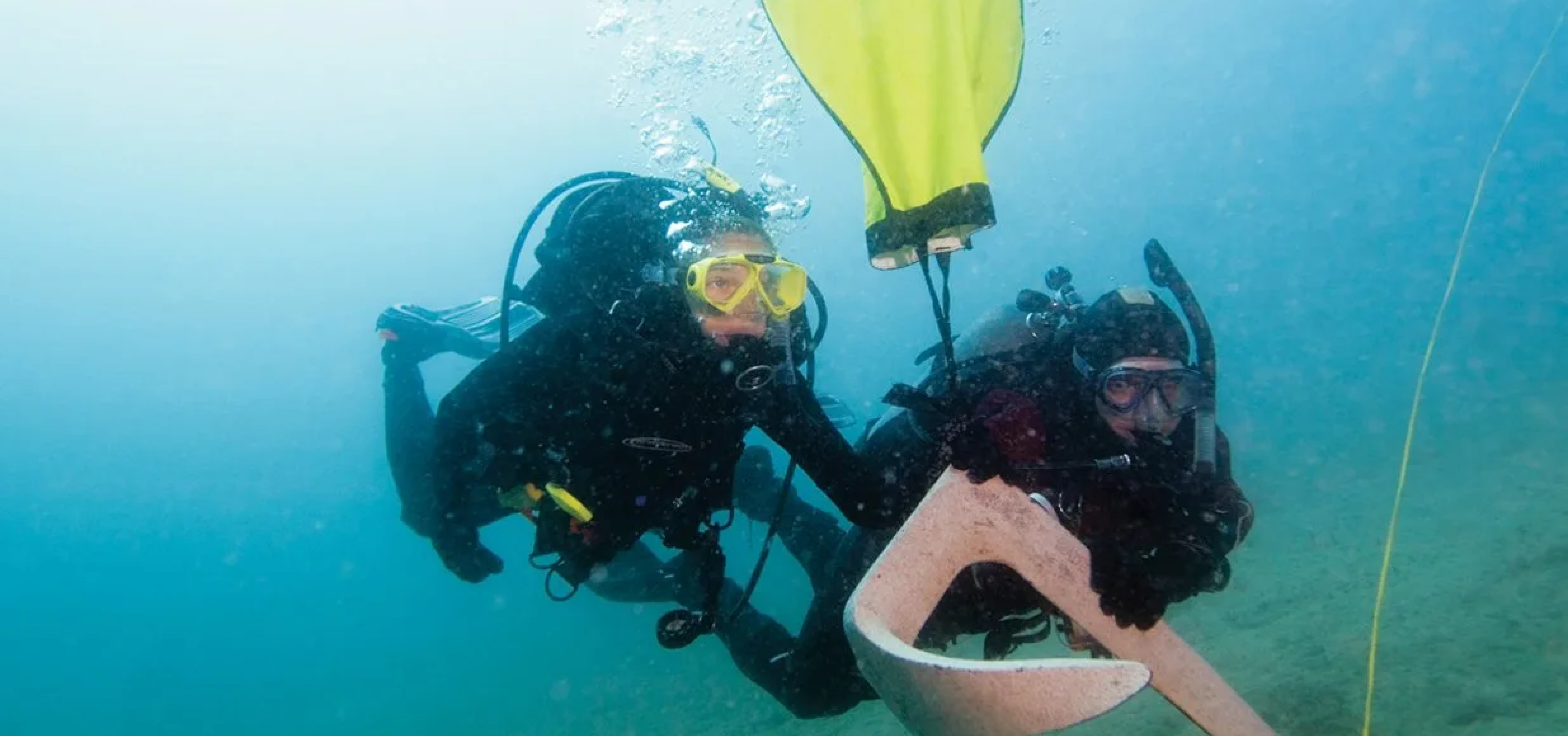 PADI Search And Recovery Speciality Banner - Bermuda