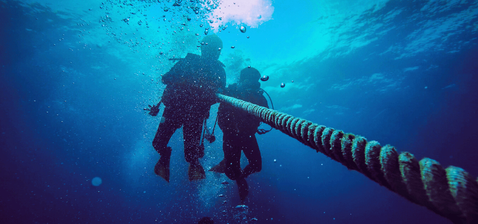 Certified Dive Trips Banner - Bermuda