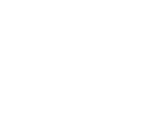 Bermuda Logo