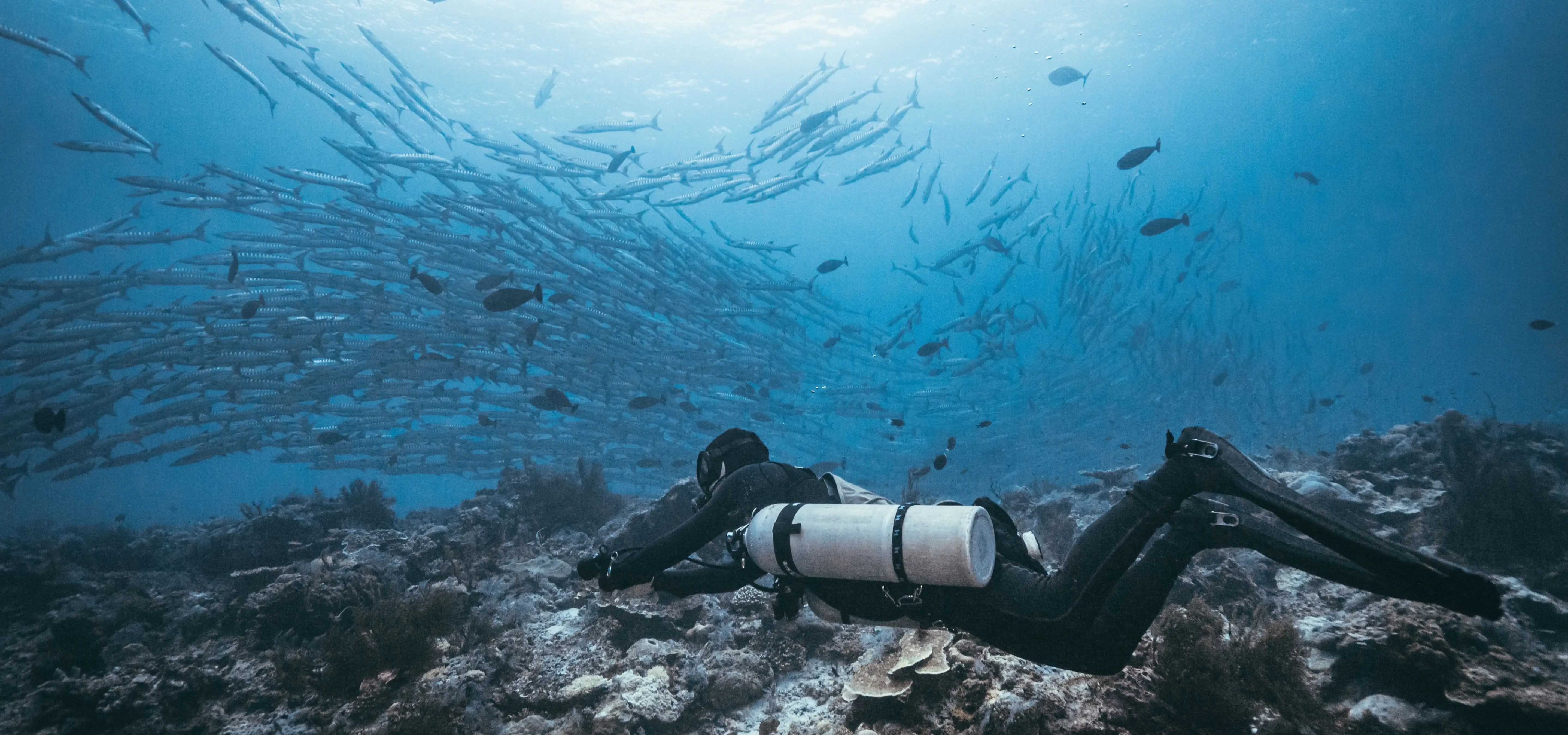 PADI Sidemount Speciality Banner - Bermuda