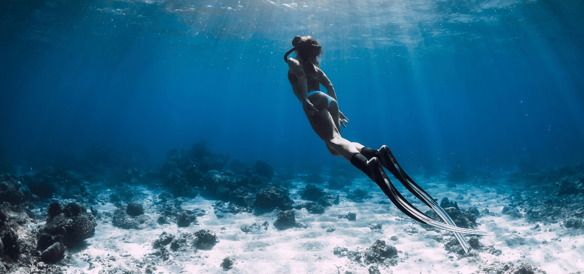 PADI Freediver Course Banner - Bermuda